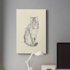 House Cat I Premium Gallery Wrapped Canvas - Ready to Hang