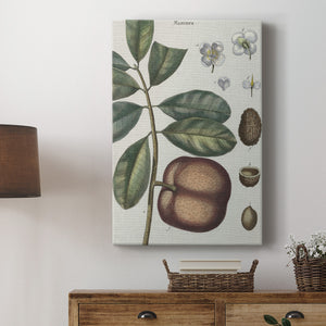 Exotic Botanique IV - Canvas Art Print