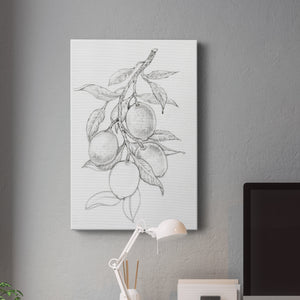 Fruit-Bearing Branch I - Canvas Art Print