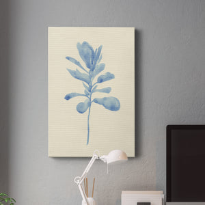 Verditer Fig IV - Canvas Art Print