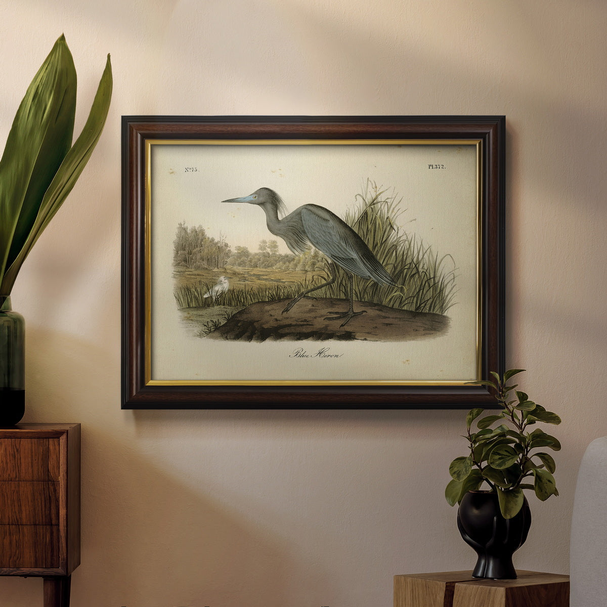 Audubons Blue Heron Premium Framed Canvas- Ready to Hang