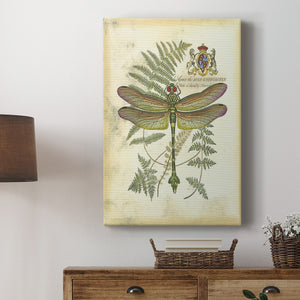 Regal Dragonfly III (PP)  - Canvas Art Print
