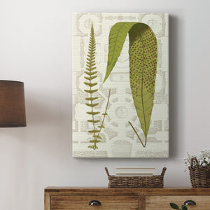 Garden Ferns III Premium Gallery Wrapped Canvas - Ready to Hang