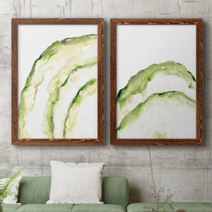 Lichen Halo I - Barnwood Framed Canvas Set