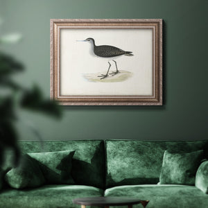 Morris Sandpipers VIII Premium Framed Canvas- Ready to Hang