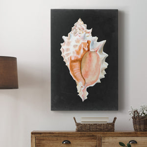 Graphic Pink Murex Premium Gallery Wrapped Canvas - Ready to Hang