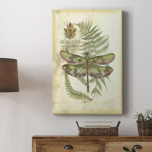 Regal Dragonfly IV (PP)  - Canvas Art Print