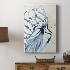Water Shells I Premium Gallery Wrapped Canvas - Ready to Hang