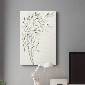 Spindle Sprig II Premium Gallery Wrapped Canvas - Ready to Hang