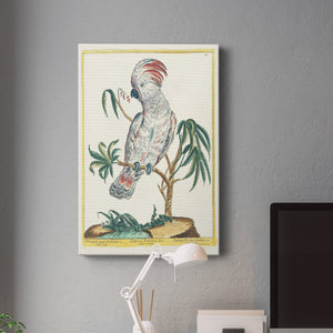 Pastel Birds II - Canvas Art Print