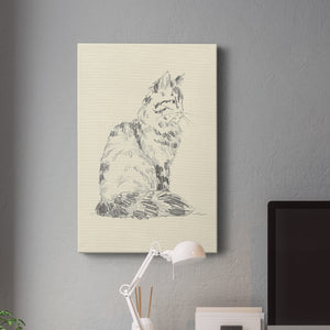 House Cat VI Premium Gallery Wrapped Canvas - Ready to Hang