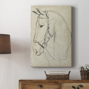 Horse in Bridle Sketch II - Canvas Art Print