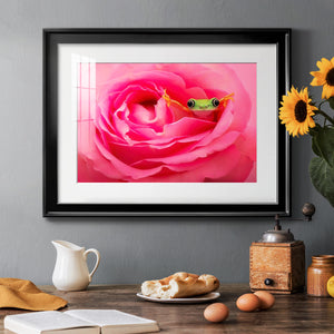 Hanging On VIII - Modern Framed Art Print