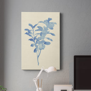 Verditer Fig II - Canvas Art Print