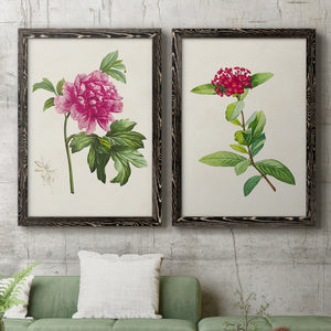 Pretty Pink Botanicals I - Premium Framed Canvas 2 Piece Set - Ready to Hang