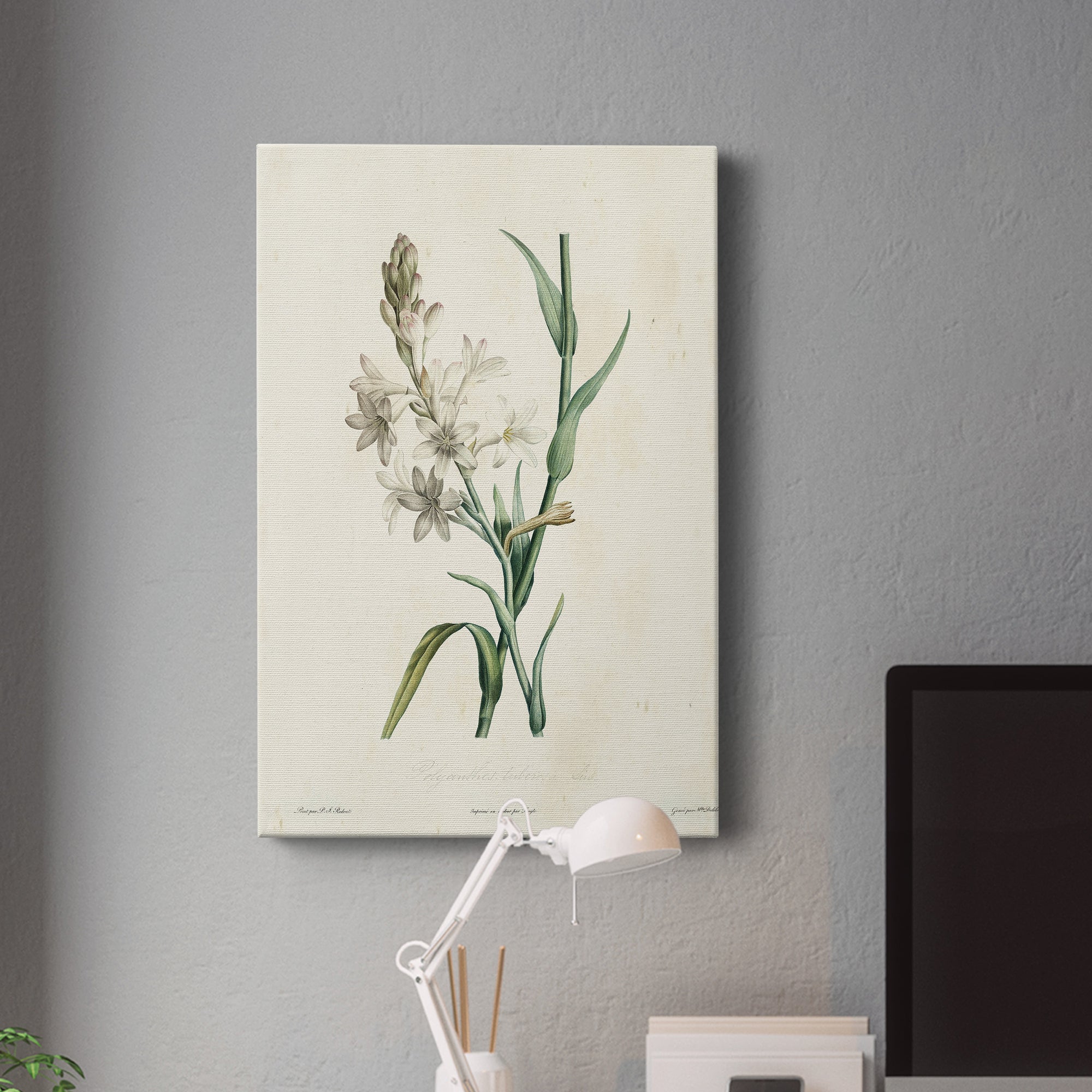 Traditional Botanical IV Premium Gallery Wrapped Canvas - Ready to Hang