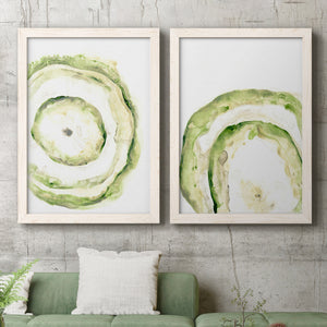 Lichen Halo III - Barnwood Framed Canvas Set