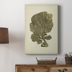 Sealife Collection VIII - Canvas Art Print