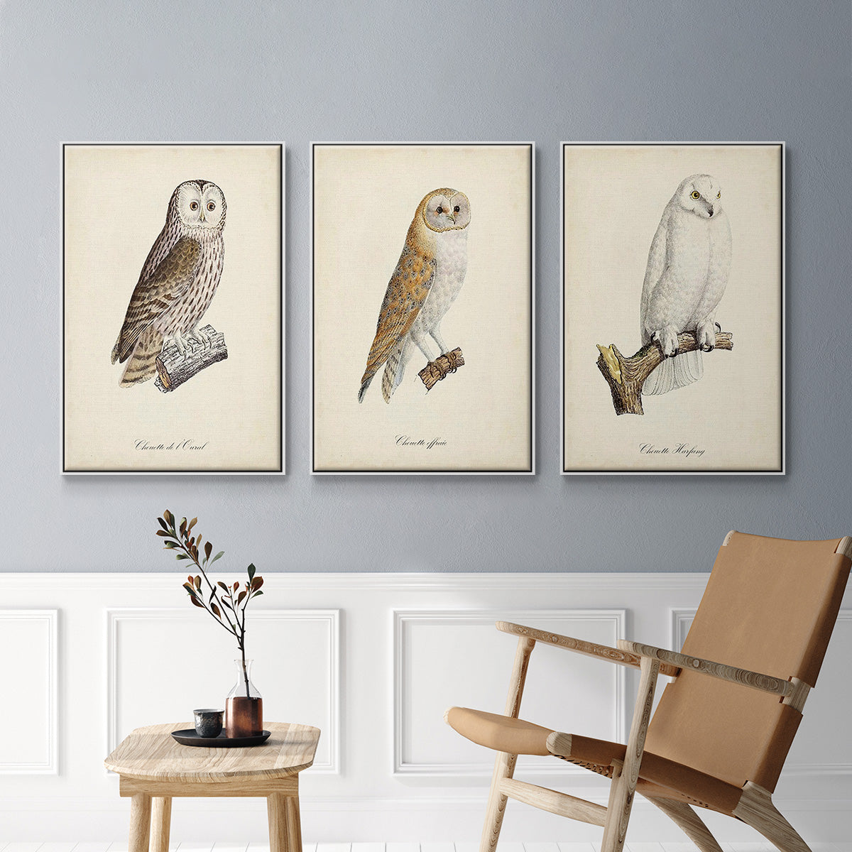 French Owls IV - Framed Premium Gallery Wrapped Canvas L Frame 3 Piece Set - Ready to Hang