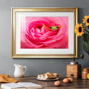 Hanging On VIII - Modern Framed Art Print