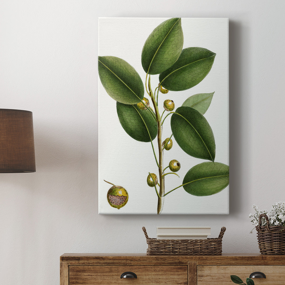 Cherry Fig Tree Premium Gallery Wrapped Canvas - Ready to Hang