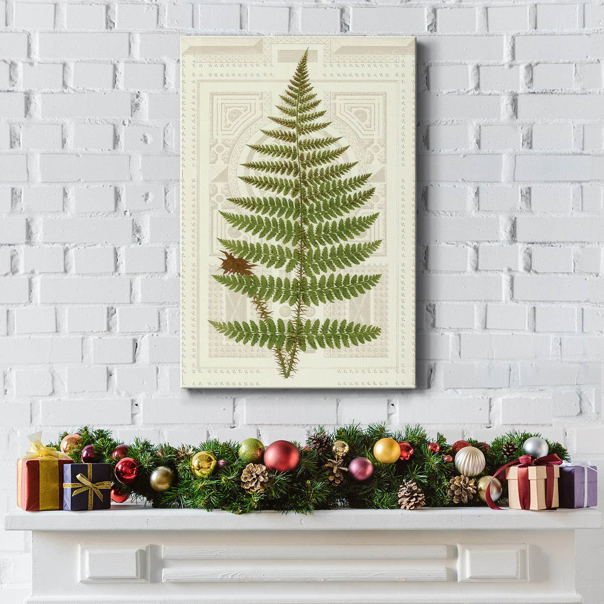 Garden Ferns V - Gallery Wrapped Canvas