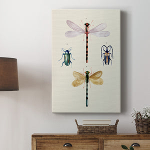 Insect Varieties I - Canvas Art Print