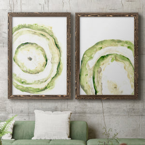 Lichen Halo III - Barnwood Framed Canvas Set