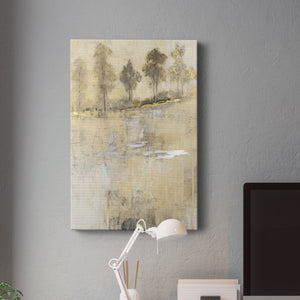 Cloaked in Mist II - Canvas Art Print