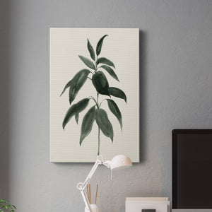 Soft Greenery II - Canvas Art Print