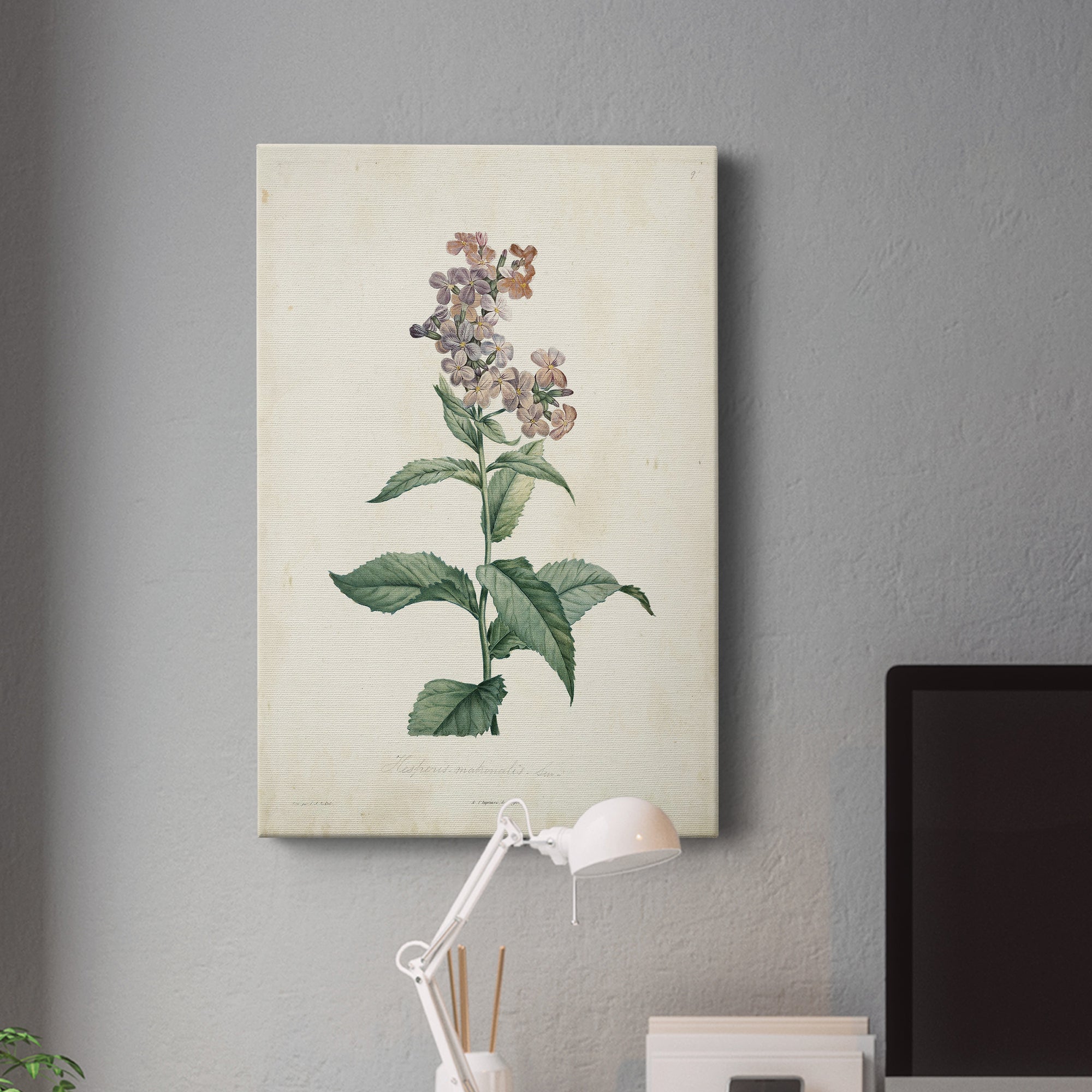 Traditional Botanical II Premium Gallery Wrapped Canvas - Ready to Hang