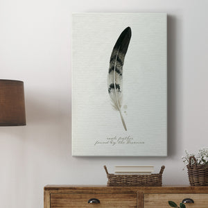 Found Feather I - Canvas Art Print