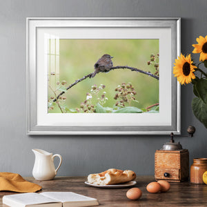 Resting Sparrow - Modern Framed Art Print