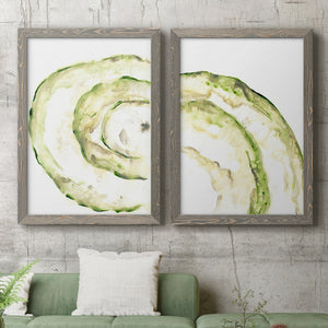 Lichen Halo V - Barnwood Framed Canvas Set