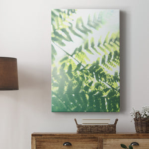 UA Fern Glow V Premium Gallery Wrapped Canvas - Ready to Hang