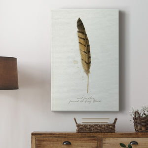 Found Feather III - Canvas Art Print