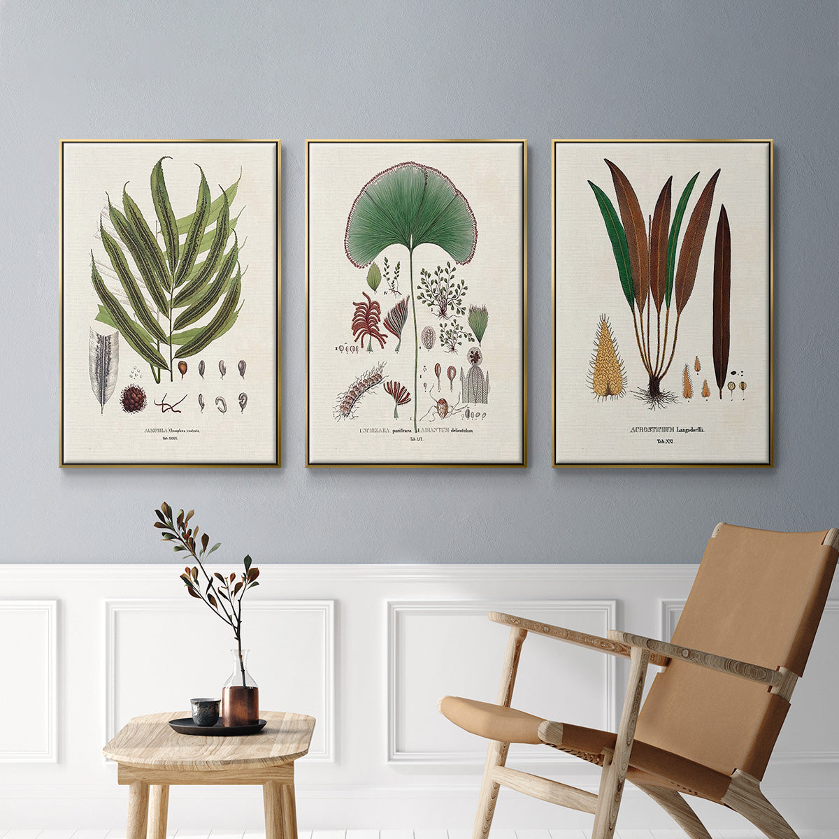 Botanical Society Ferns I - Framed Premium Gallery Wrapped Canvas L Frame 3 Piece Set - Ready to Hang