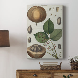 Exotic Botanique III - Canvas Art Print