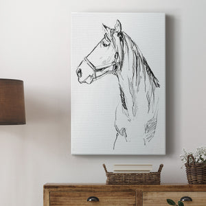 Bridle Portraits I - Canvas Art Print