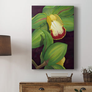 Lime Orchid II Premium Gallery Wrapped Canvas - Ready to Hang