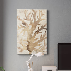 Parchment Coral III Premium Gallery Wrapped Canvas - Ready to Hang