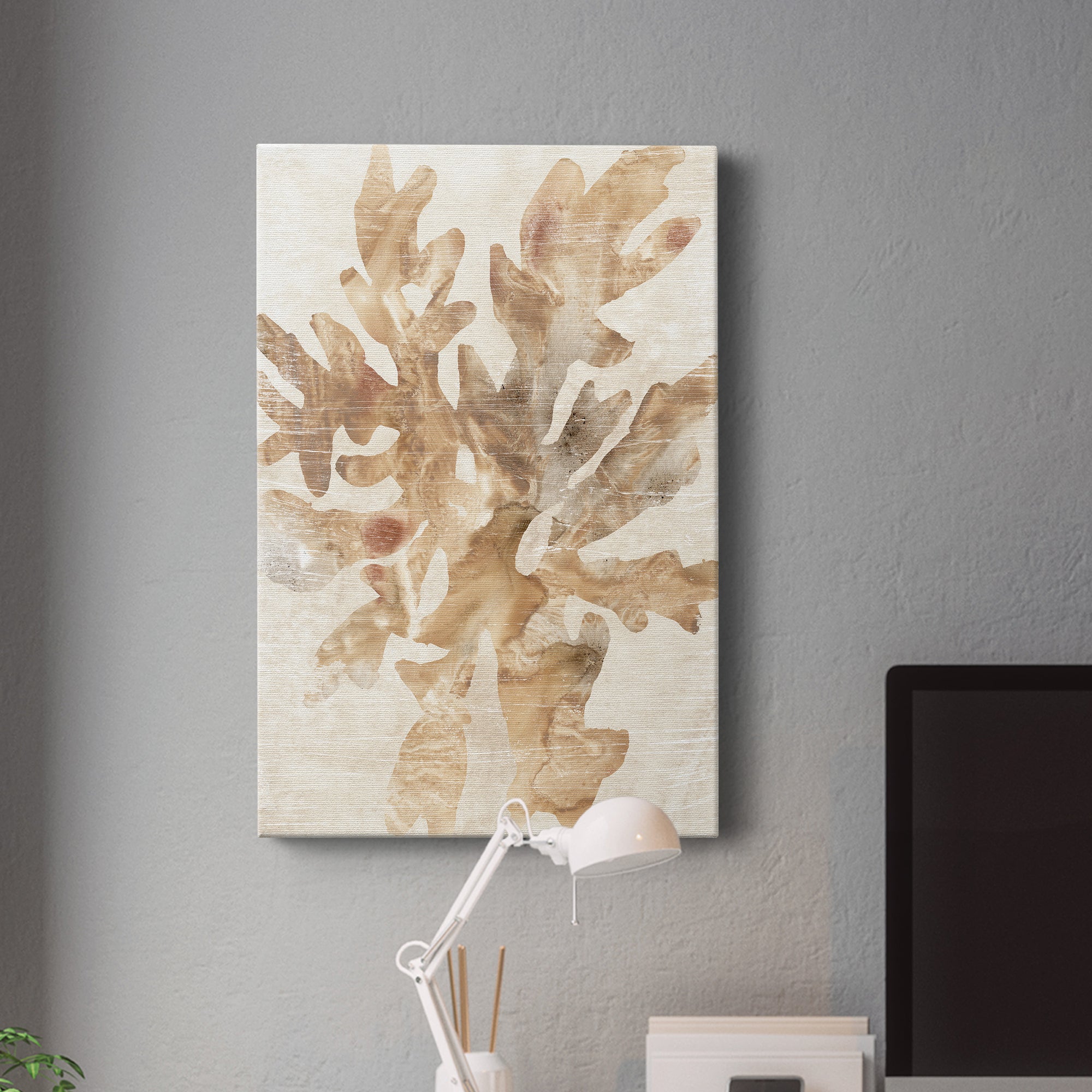 Parchment Coral IV Premium Gallery Wrapped Canvas - Ready to Hang
