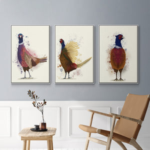 Pheasant Splash 3 - Framed Premium Gallery Wrapped Canvas L Frame 3 Piece Set - Ready to Hang