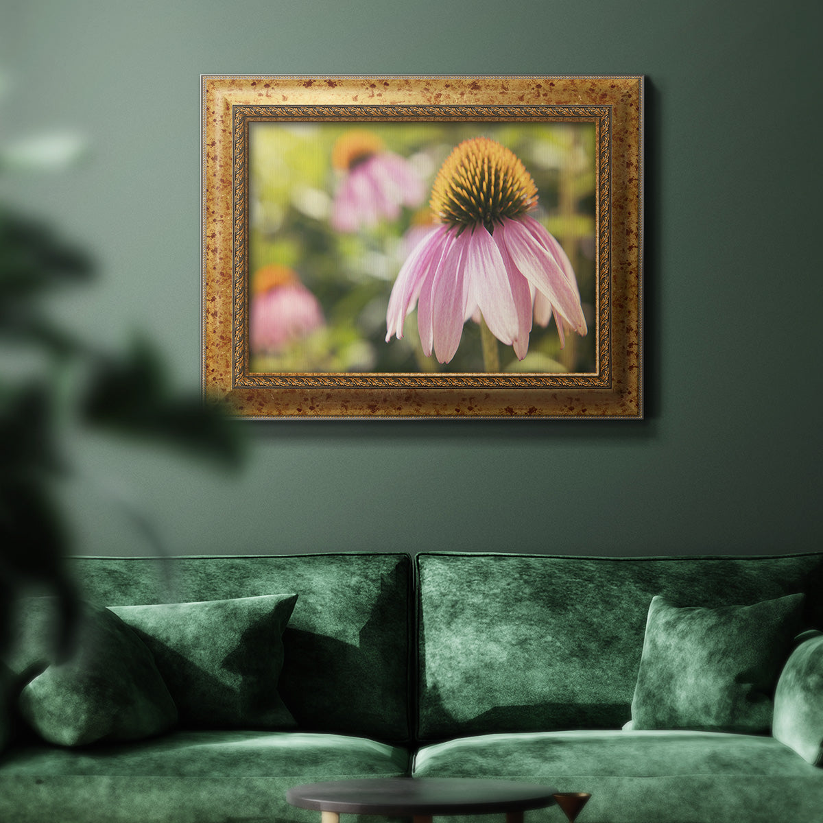 Echinacea Study I Premium Framed Canvas- Ready to Hang