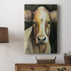 Sweet Eyes II - Canvas Art Print
