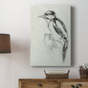 Woodpecker Sketch I Premium Gallery Wrapped Canvas - Ready to Hang