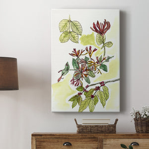 Floral Field Notes IV Premium Gallery Wrapped Canvas - Ready to Hang