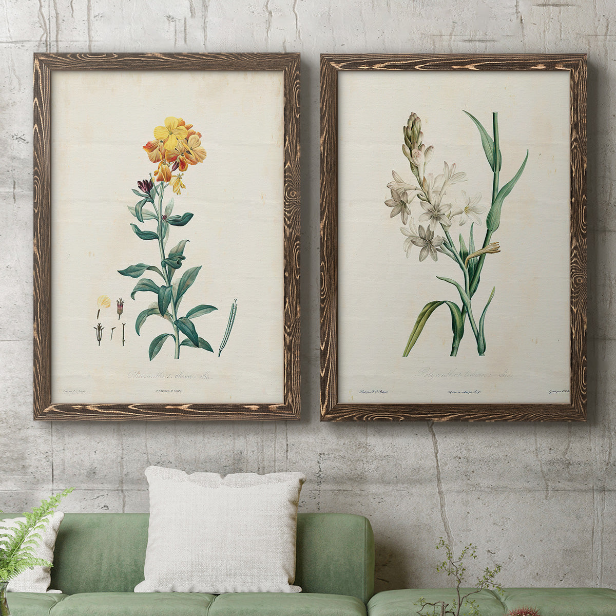 Traditional Botanical III - Premium Framed Canvas 2 Piece Set - Ready to Hang