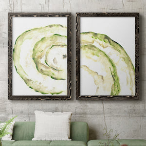Lichen Halo V - Barnwood Framed Canvas Set