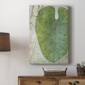 Frond IV Premium Gallery Wrapped Canvas - Ready to Hang